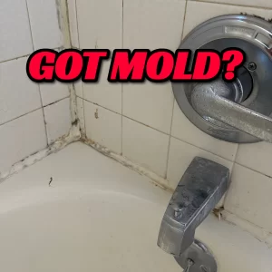Mold Elimination Treatment Detail