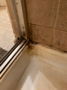 Tiled shower basin showing severe dark mold and mildew buildup along the floor perimeter before remediation