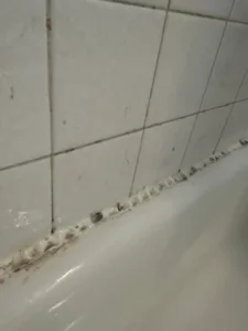 Freshly applied premium color matched silicone sealant cleanly installed along the shower floor junction