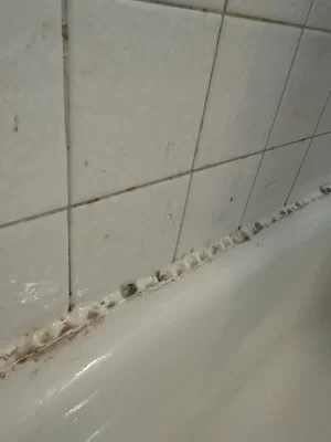 Freshly applied premium color matched silicone sealant cleanly installed along the shower floor junction