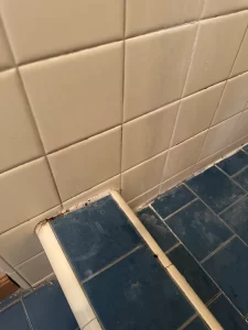Hard water accumulation, soap scum, and mold at caulk line