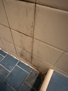 Years of mold, fungus, and faulty shower caulk