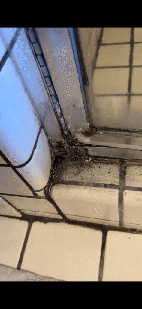Severe mold and fungus accumulation in track