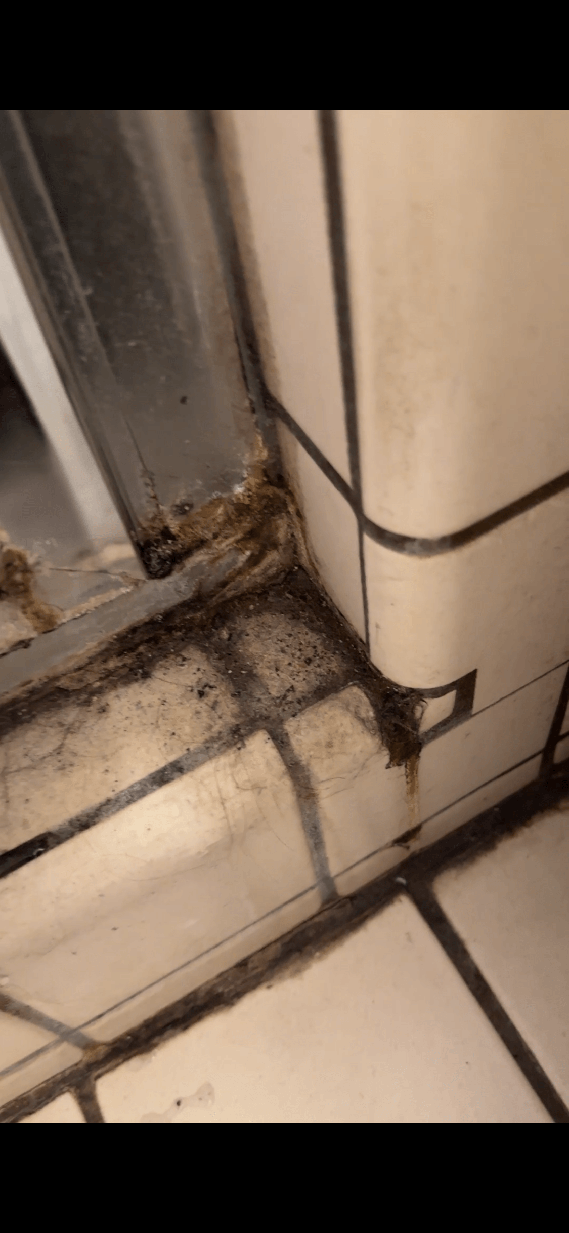 Case Study: 36-Year-Old Shower Restoration in Sacramento