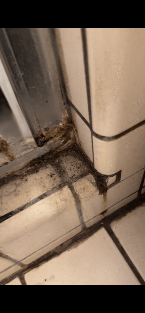 Excessive mold growth destroying silicone perimeter seals