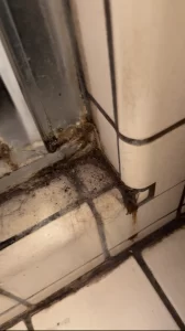 Excessive mold growth destroying silicone perimeter seals