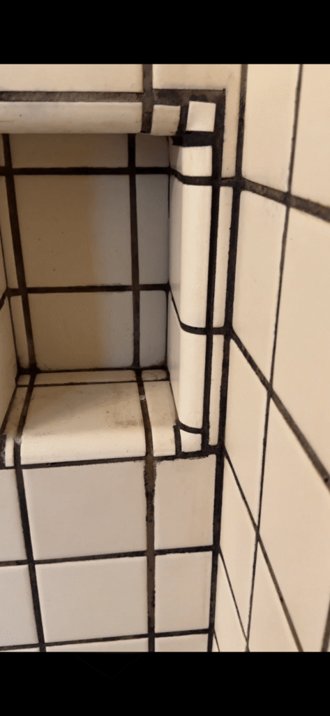Water pooling issues in recessed shampoo niche