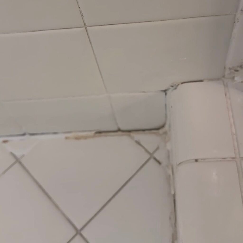 Damaged and missing cement grout at shower floor perimeter joint causing water leaks